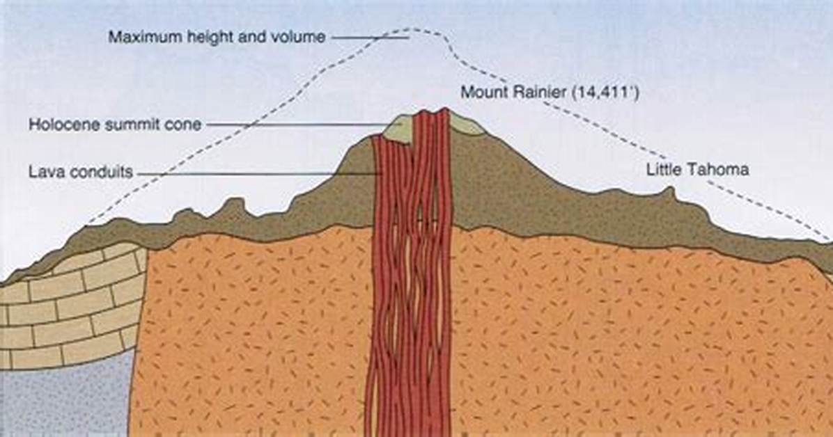 Mt Rainier Height