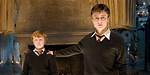 Muggle Born