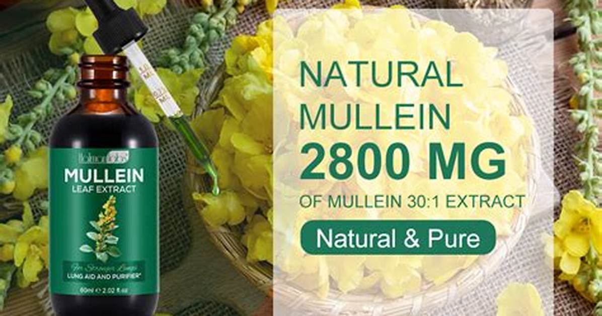 Mullein for Copd