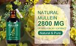 Mullein for Copd