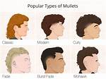 Mullet Meaning