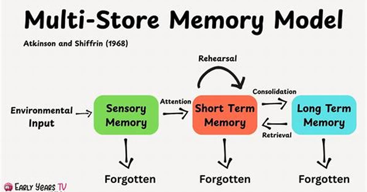 Multi Store Model