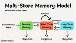 Multi Store Model