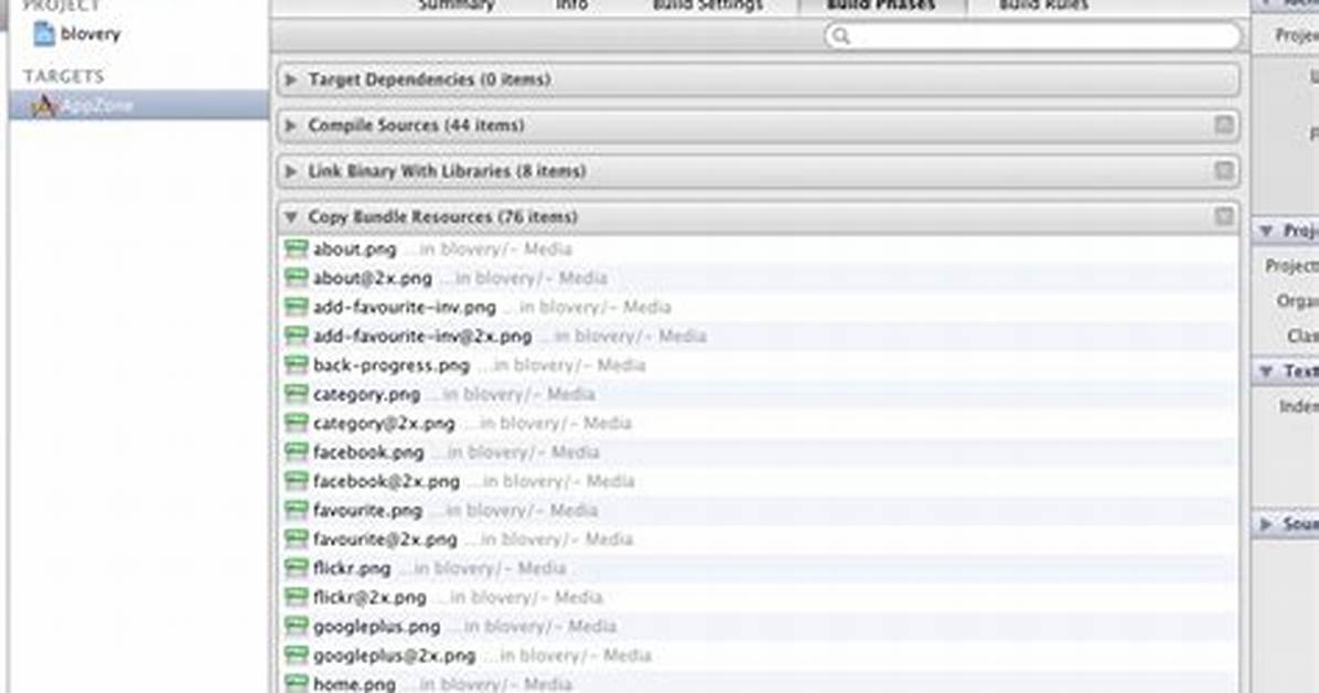 Multiple Build Commands Warning While Building - Objective C