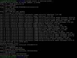 Multiple Commands on Docker Entrypoint