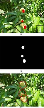 Multiple Detections