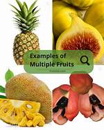 Multiple Fruits