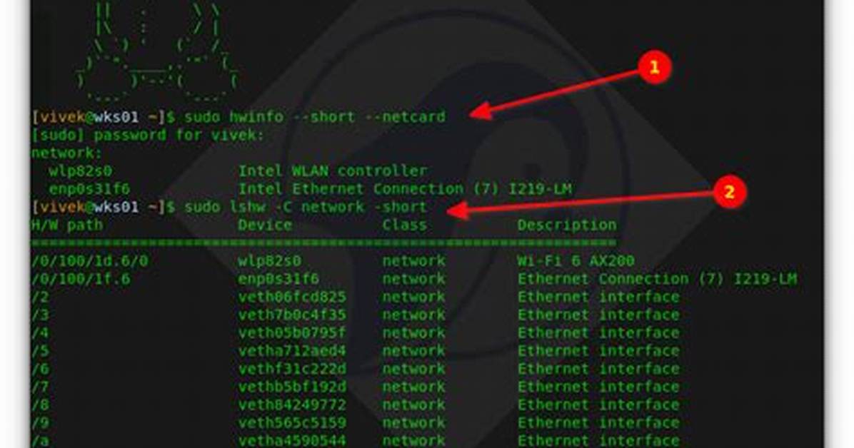 Multiple Network Interfaces on Linux Pc