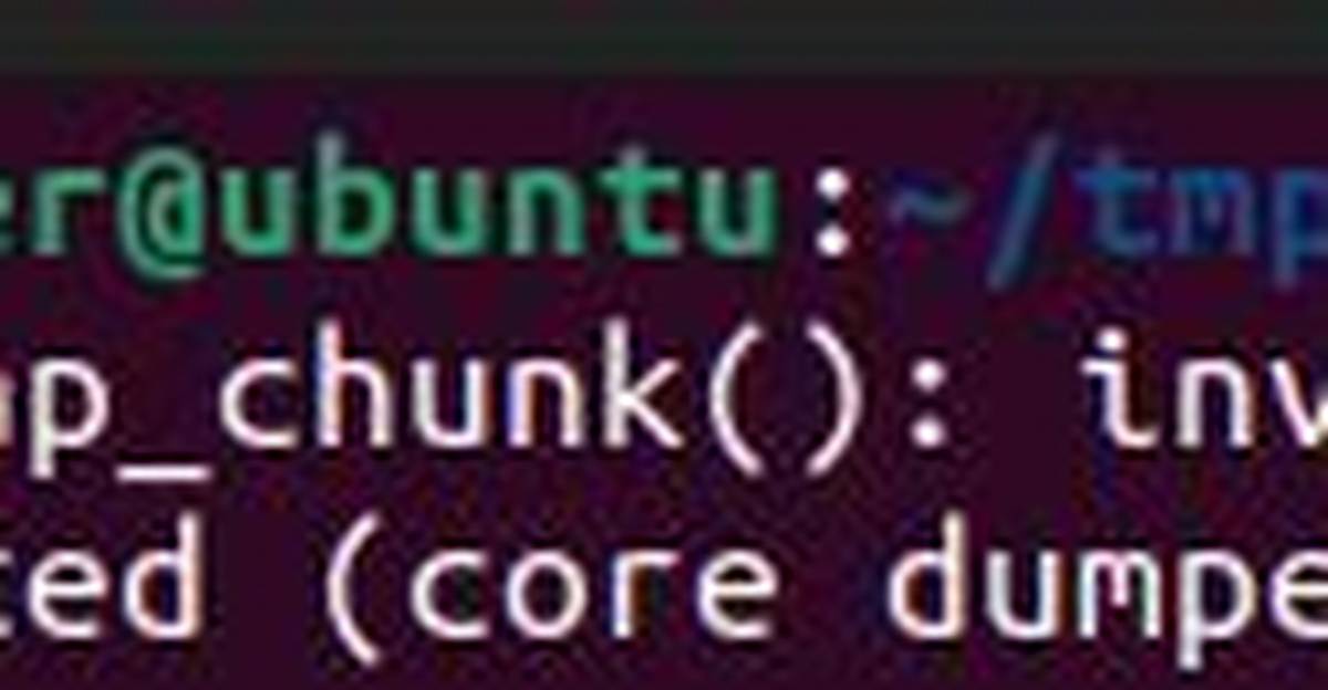Munmap_Chunk(): Invalid Pointer