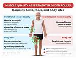 Muscle Quality