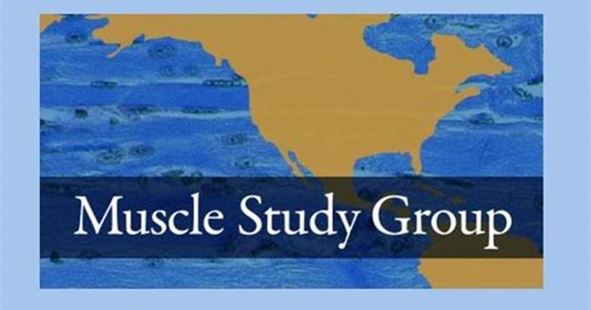 Muscle Study Group (Msg)