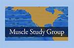 Muscle Study Group (Msg)
