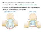 Myelocele