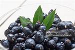 Myrtle Berries