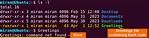 Mysql Command Line '-Bash Command Not Found'
