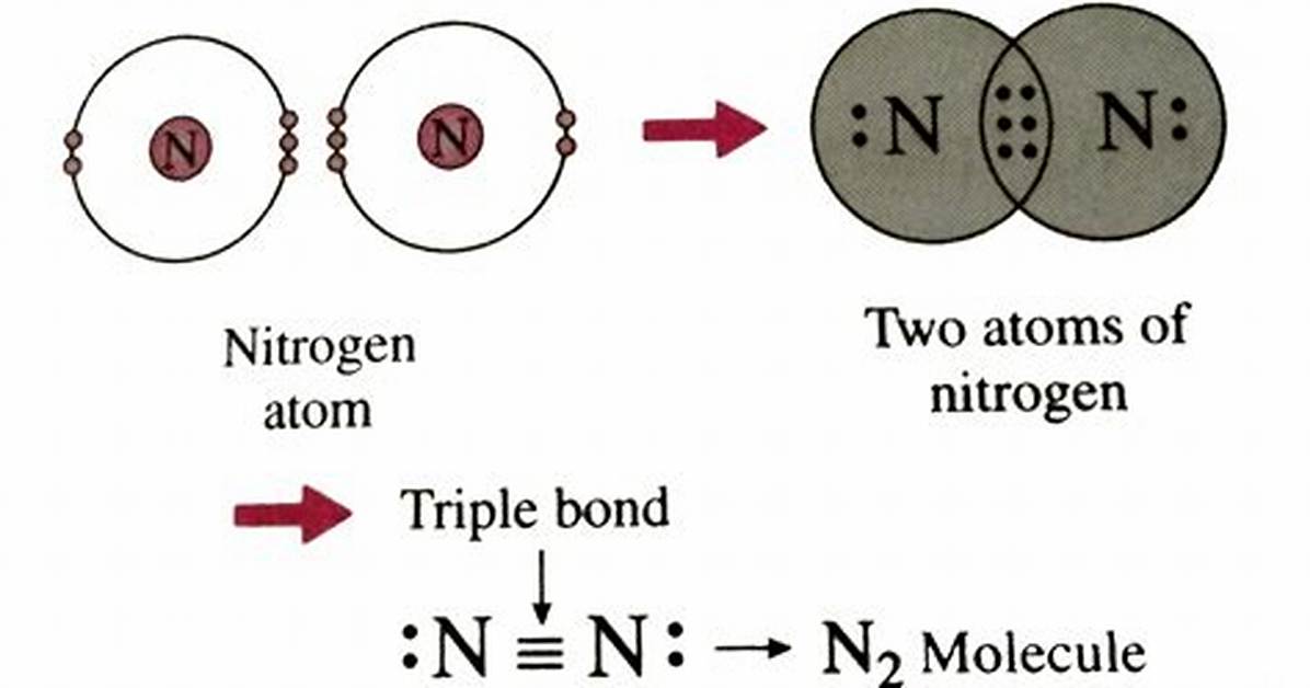N2 Bond