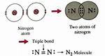 N2 Bond