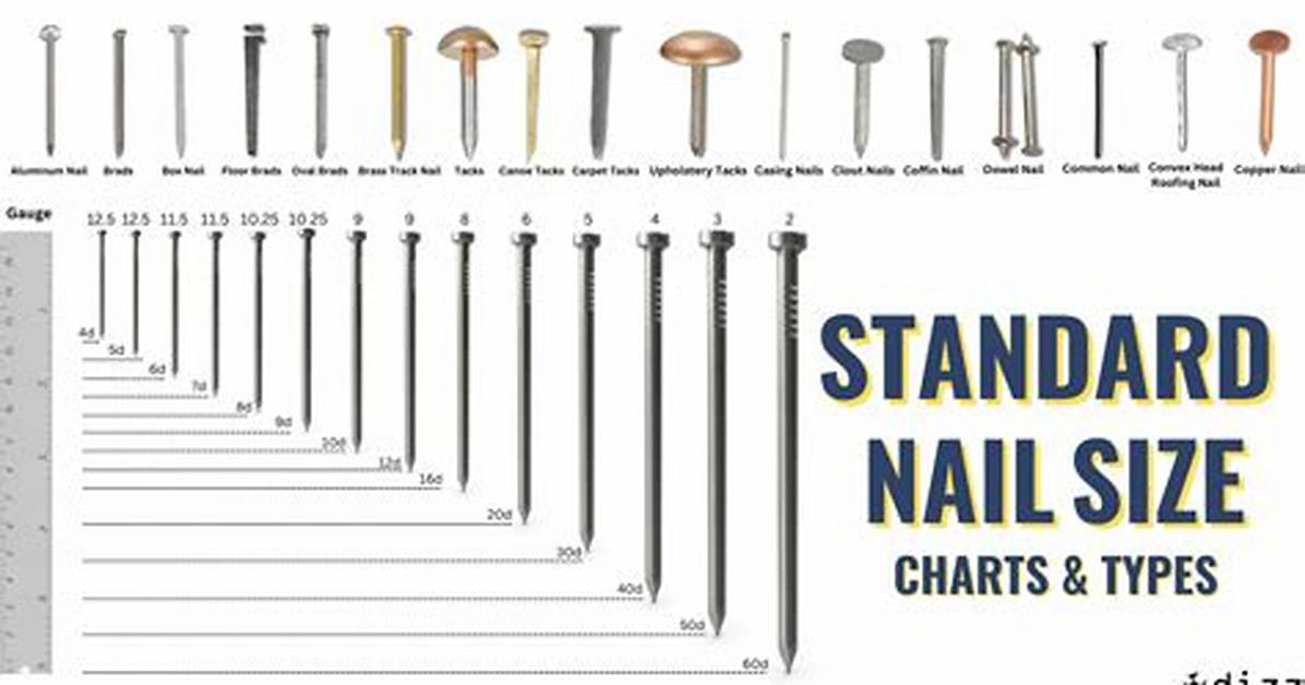 Nail Size