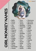 Names for Monkeys