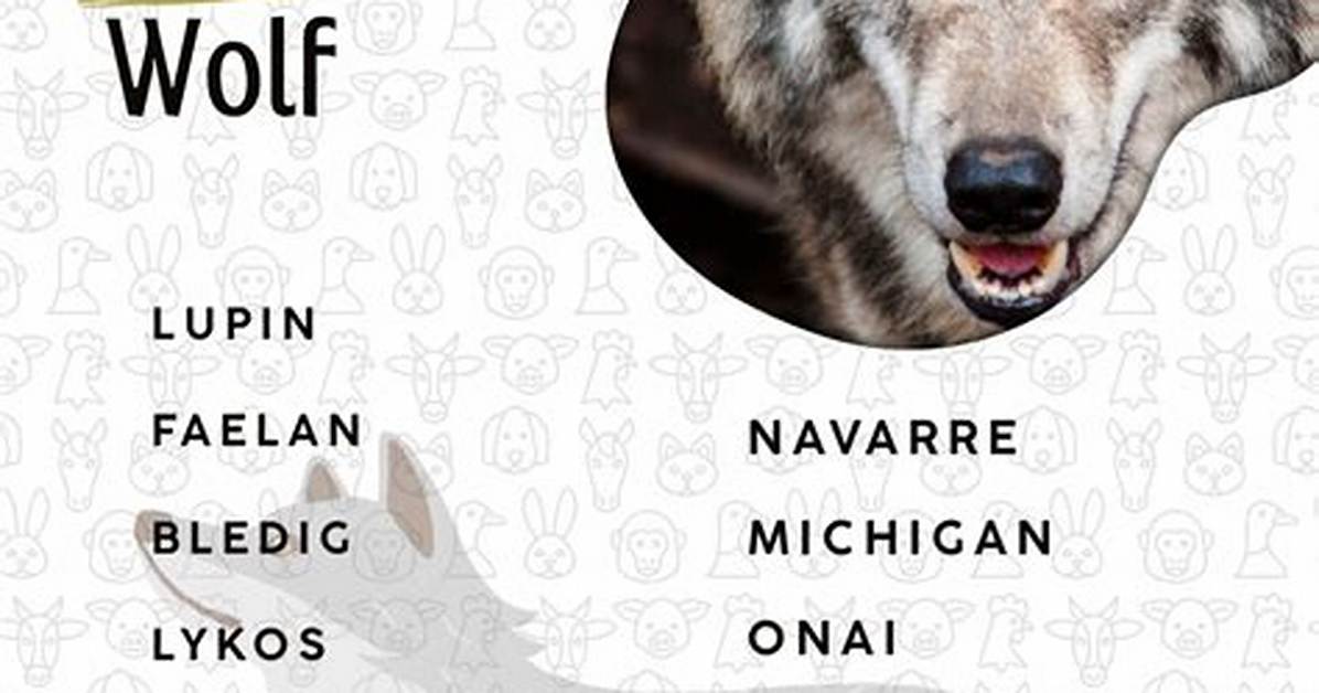 Names for Wolves