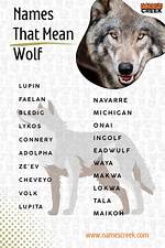 Names for Wolves