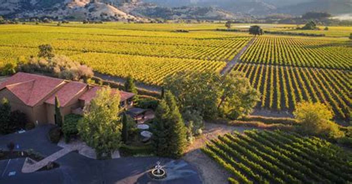 Napa Wineries Open