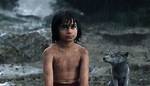 Neel Sethi