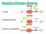 Negative Nitrogen Balance