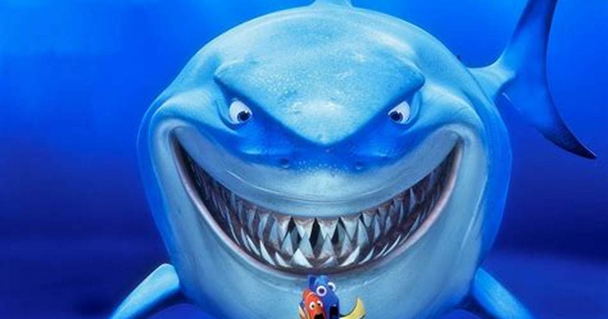 Nemo Shark