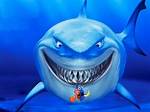 Nemo Shark