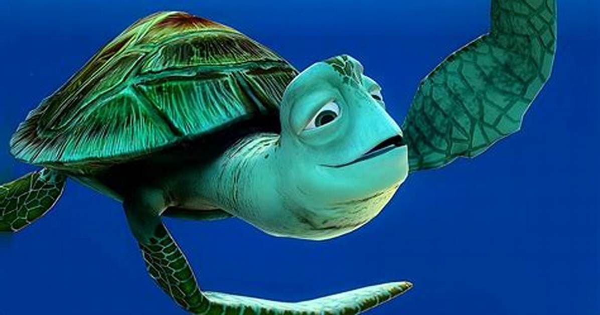 Nemo Turtle Name