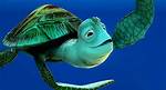 Nemo Turtle Name