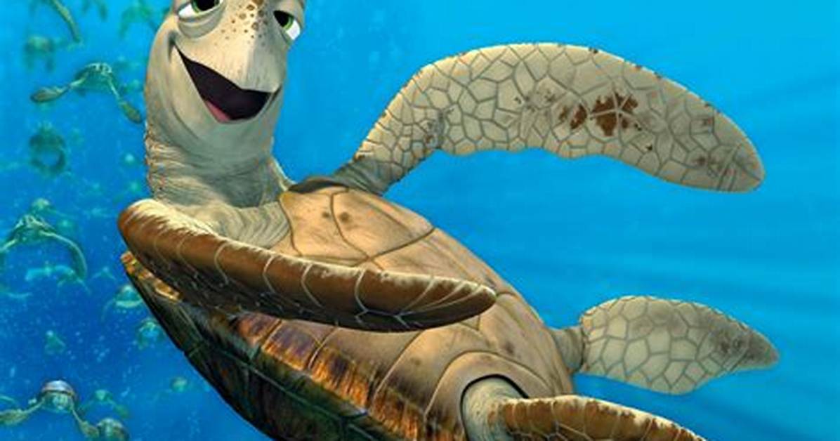 Nemo Turtle