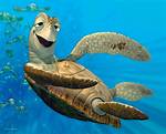 Nemo Turtle