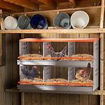 Nesting Boxes for Chickens
