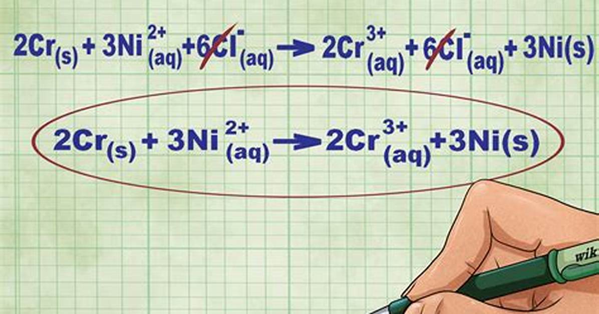 Net Ionic Equation Example