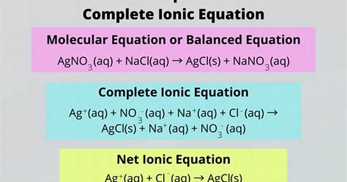 Net Ionic Equation