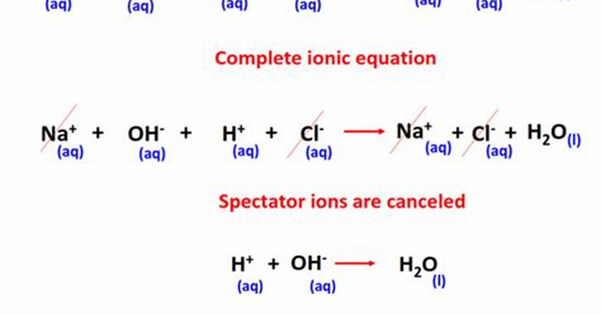 Net Ionic Reaction
