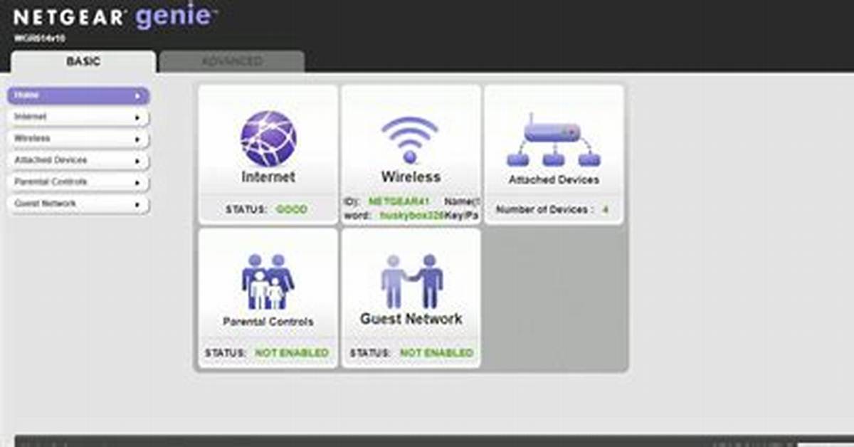 Netgear Admin