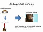 Neutral Stimulus Example