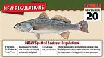 New Limits on Size, Numbers of Speckled Trout to Go into Effect Monday