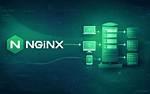 Nginx Does Redirect, Not Proxy
