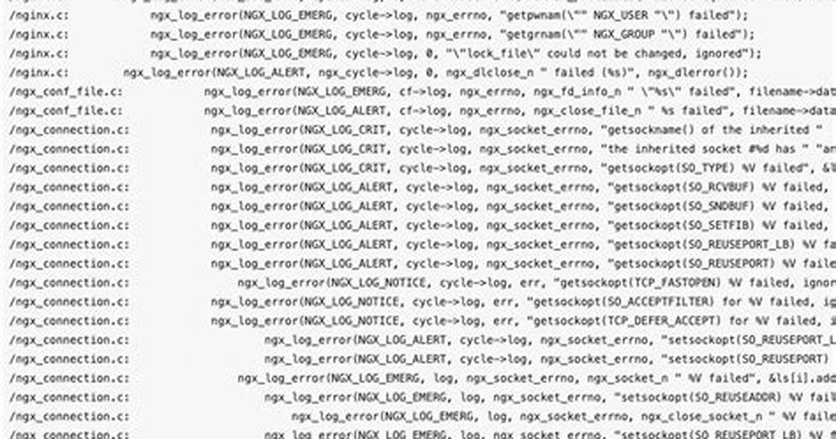 Nginx Error Log