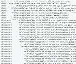 Nginx Error Log