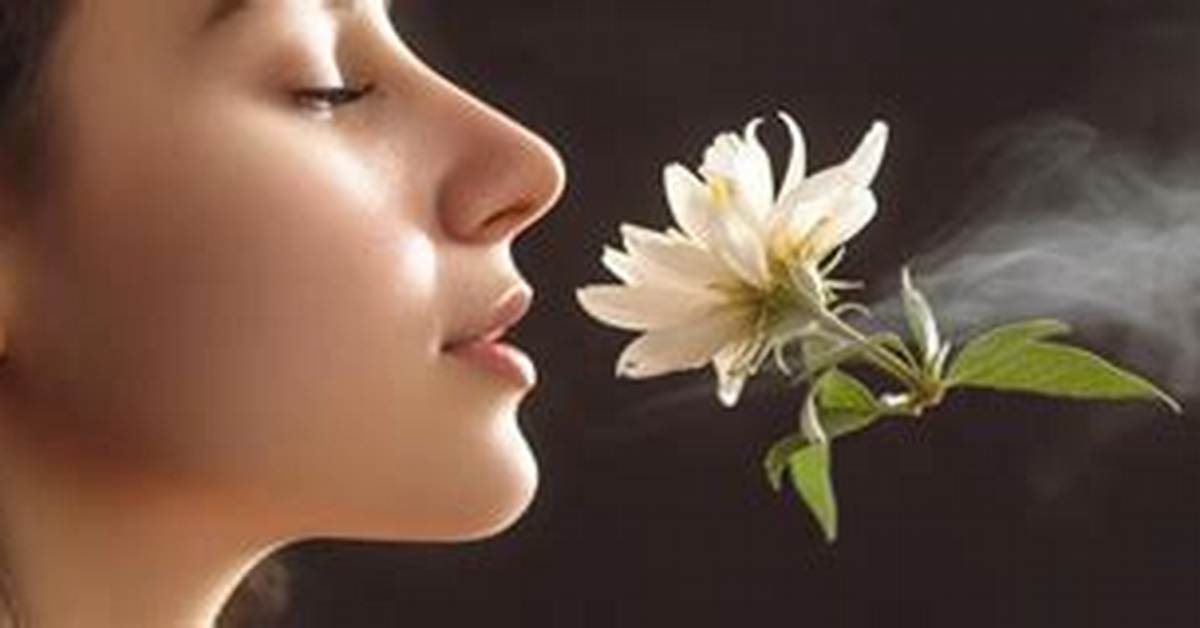 Nice Smell