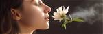 Nice Smell