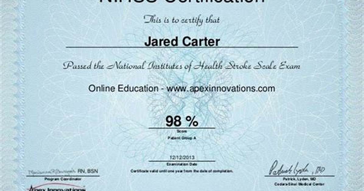 Nihss Stroke Certification