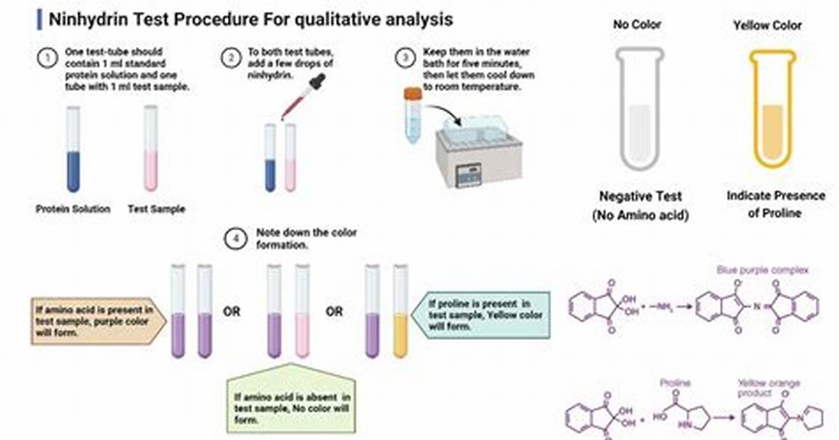 Ninhydrin Test