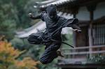 Ninja