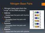 Nitrogen Base Pairs